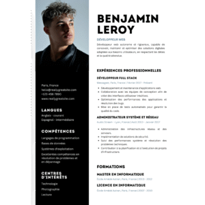 Professional Resume FY